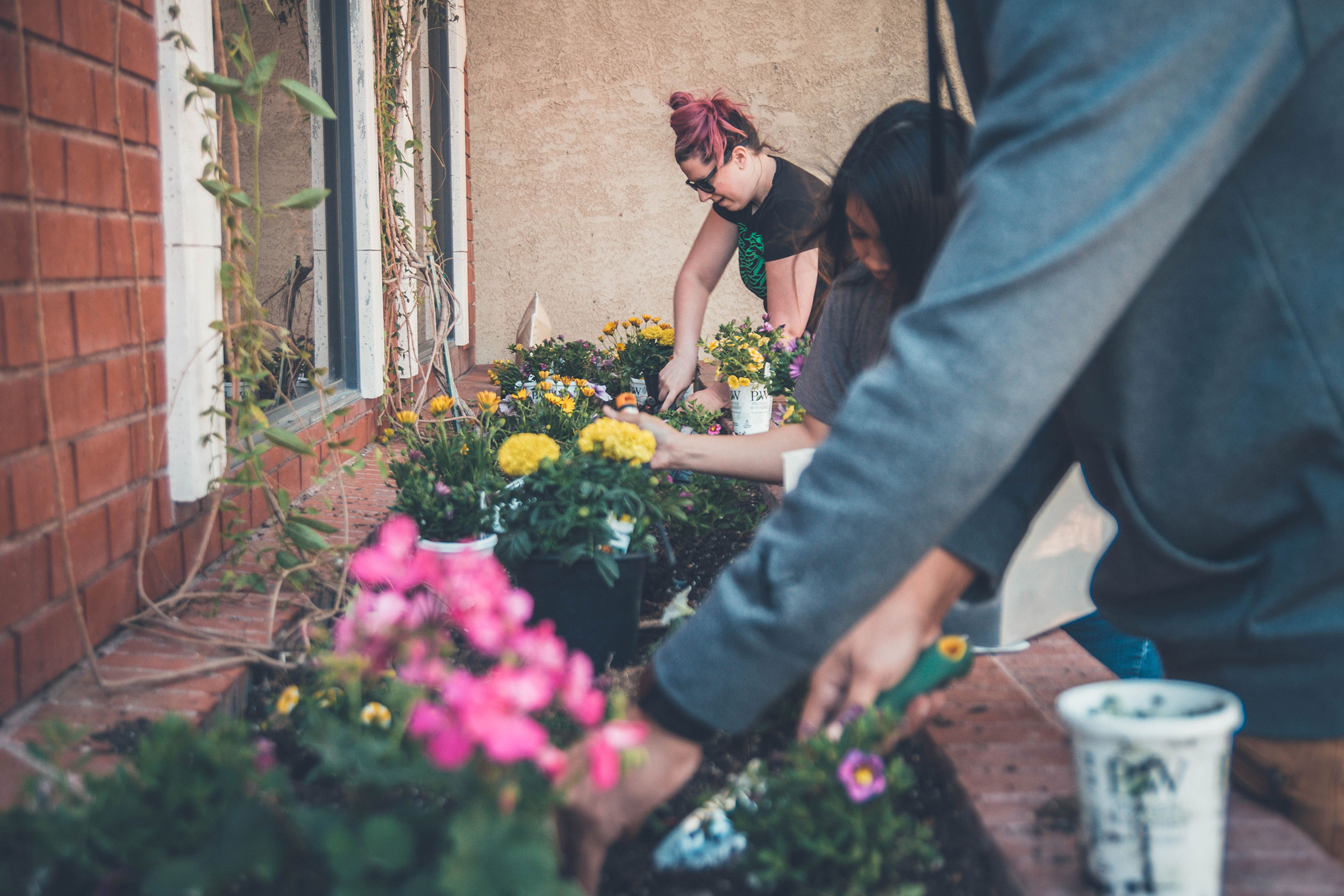 photo of a group of young adults planting flowers in a raised bed